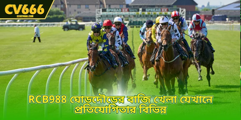 RCB988 ঘোড়দৌড়ের বাজি খেলা যেখানে প্রতিযোগিতার বিভিন্ন