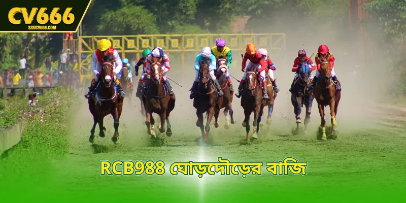 RCB988 ঘোড়দৌড়ের বাজি