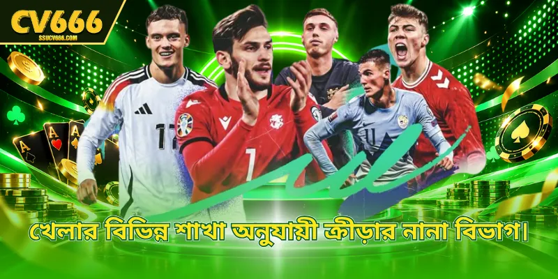 খেলার বিভিন্ন শাখা অনুযায়ী ক্রীড়ার নানা বিভাগ।