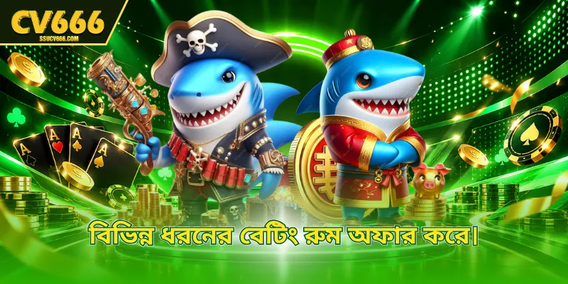 বিভিন্ন ধরনের বেটিং রুম অফার করে।