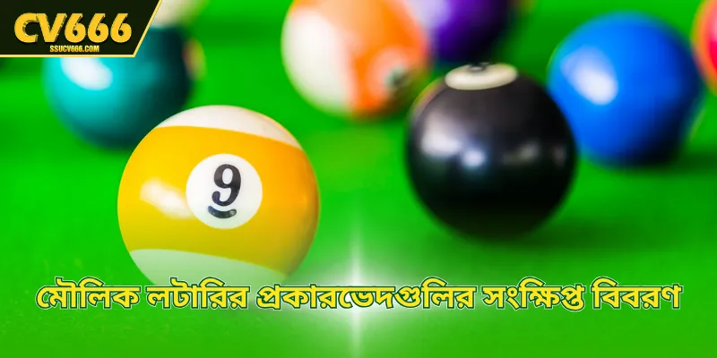 মৌলিক লটারির প্রকারভেদগুলির সংক্ষিপ্ত বিবরণ