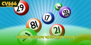 লটারির ফলাফল যাচাই করা হয়েছে