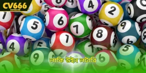লাকি উইন লটারি