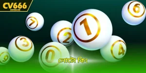 লোটো কিং