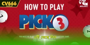 ৩টি বেছে নিন