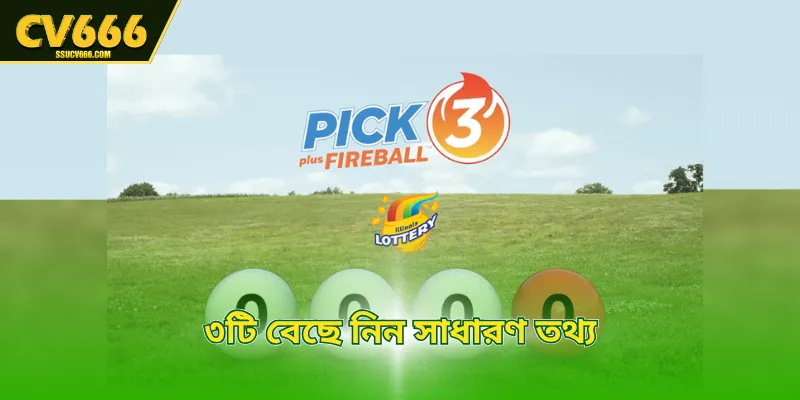 ৩টি বেছে নিন সাধারণ তথ্য